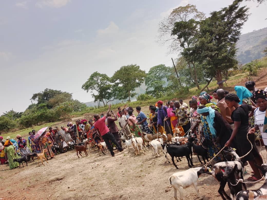 Vocational Skills Development